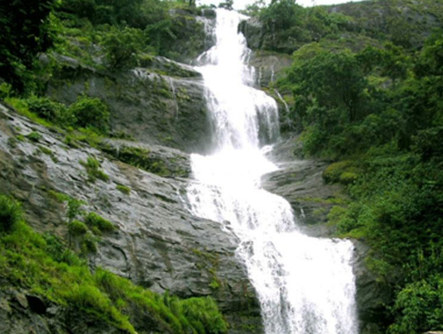 Day 2: Munnar Local Sightseeing